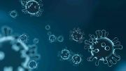 virus